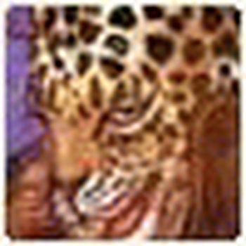 Petanque post - New Member Introduction – Happy to Join the Community - Russia