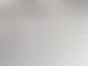 Petanque club Cabinteely Petanque Club - Dun Laoghaire - Ireland