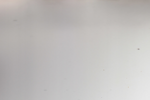 Petanque club Cabinteely Petanque Club - Dun Laoghaire - Ireland