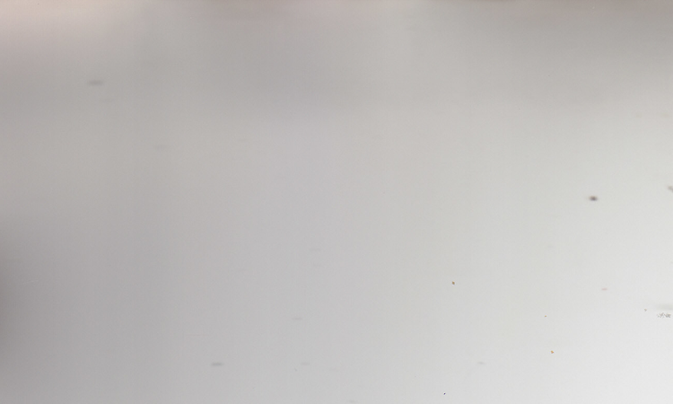 Logo petanque club Cabinteely Petanque Club located in Dun Laoghaire in the country Ireland